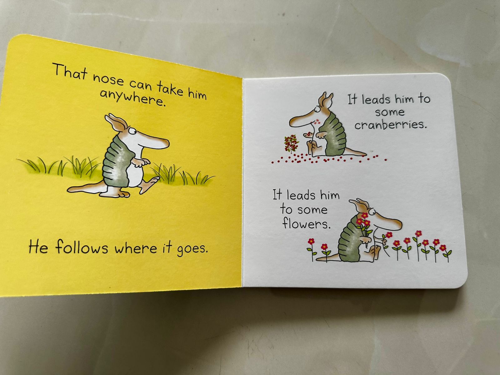 But not the ARMADILLO