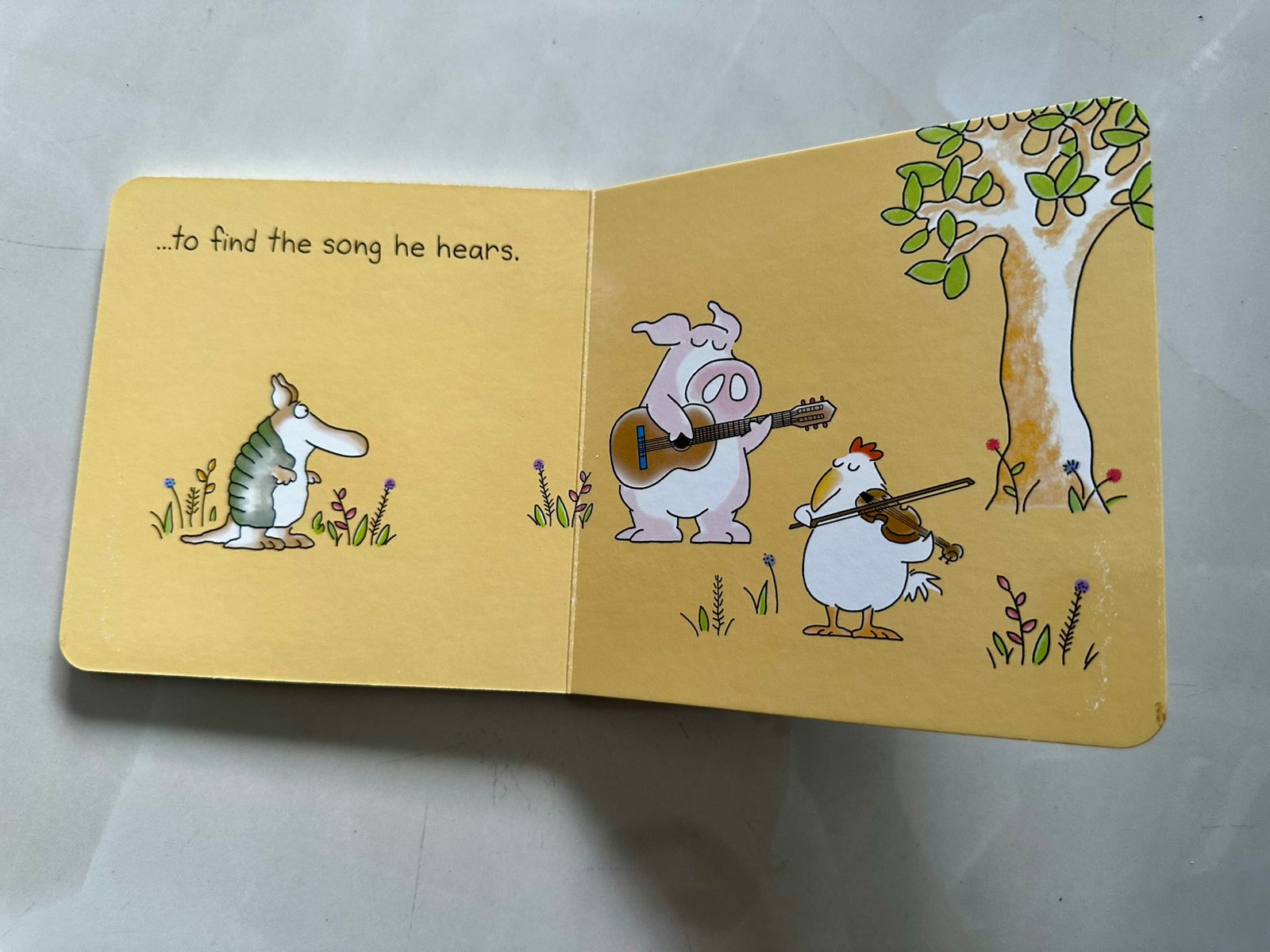 But not the ARMADILLO