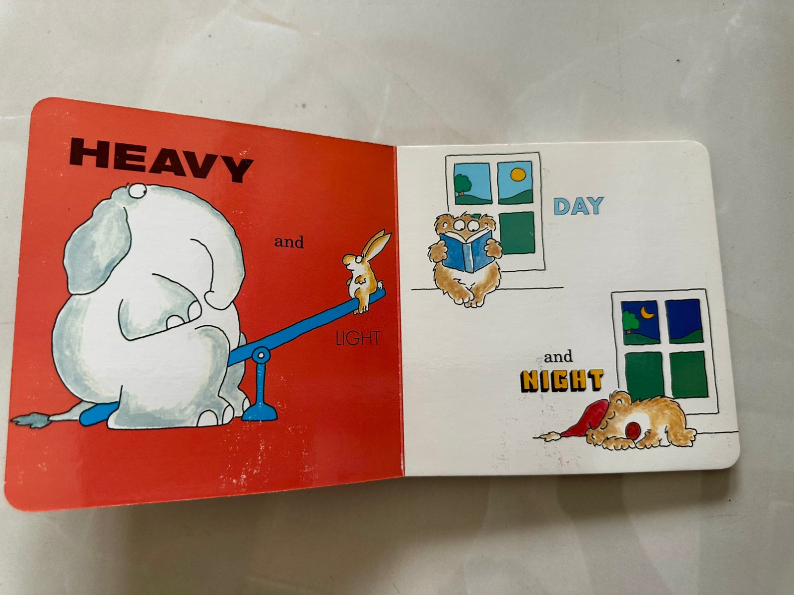 Opposites by Sandra Boynton